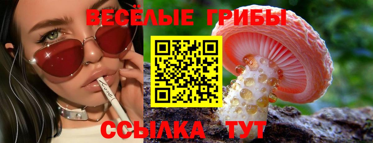 Галлюциногенные грибы MAGIC MUSHROOMS  Псилоцибиновые грибы MAGIC MUSHROOMS  Тосно  Вход с VPN 